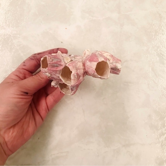 Custom shell bundle — PLEASE READ - Picture 5 of 13